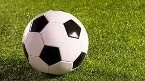 多特高层赛后一致好评更衣室球员，展现轻松喜悦氛围