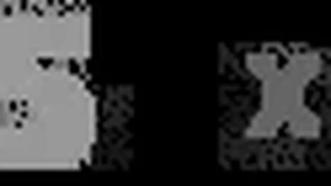 德国足球新星锋线耀眼，崭露头角助力成名，未来国家队核心指日可待。