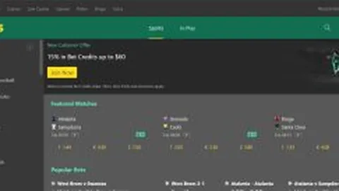 “黄蜂教练反思：过度投入引困境，调整心态后球员斗志回升，局势将迎转机”