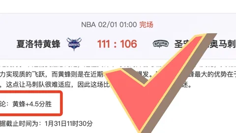 【独家粉丝盛宴】揭秘精彩对决，比分解析大放送！