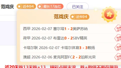 印尼荣耀：赖因德斯的自豪征程